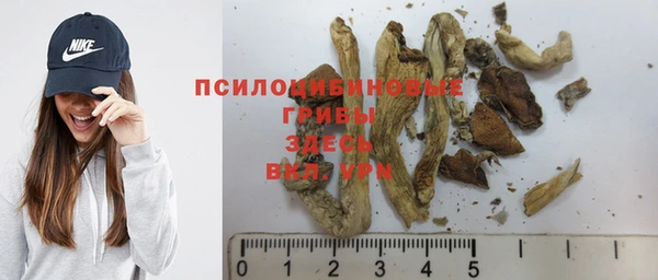 гидропоника Михайловск