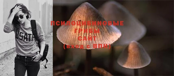 МДПВ Михайловка