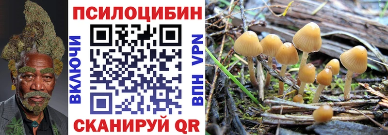 Псилоцибиновые грибы мицелий  наркота  Кумертау 